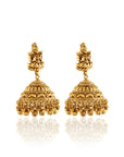 Golden Temple Jhumkas