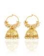 Pearl Temple Hoop Jhumkas