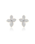 Lomi Zircon Stud Earrings