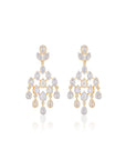 Arisya Zircon Dangler Earrings