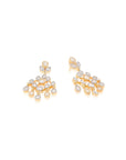 Arisya Zircon Dangler Earrings