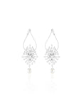 Lavisha Zircon Dangler Earrings