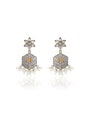 Dhenu Oxidised Dangler Earrings