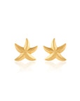 Starry Everyday Studs