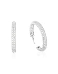 Anvini Zircon Hoops